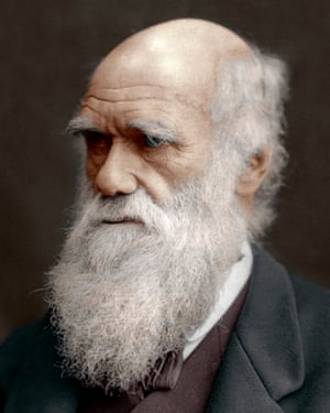 darwin